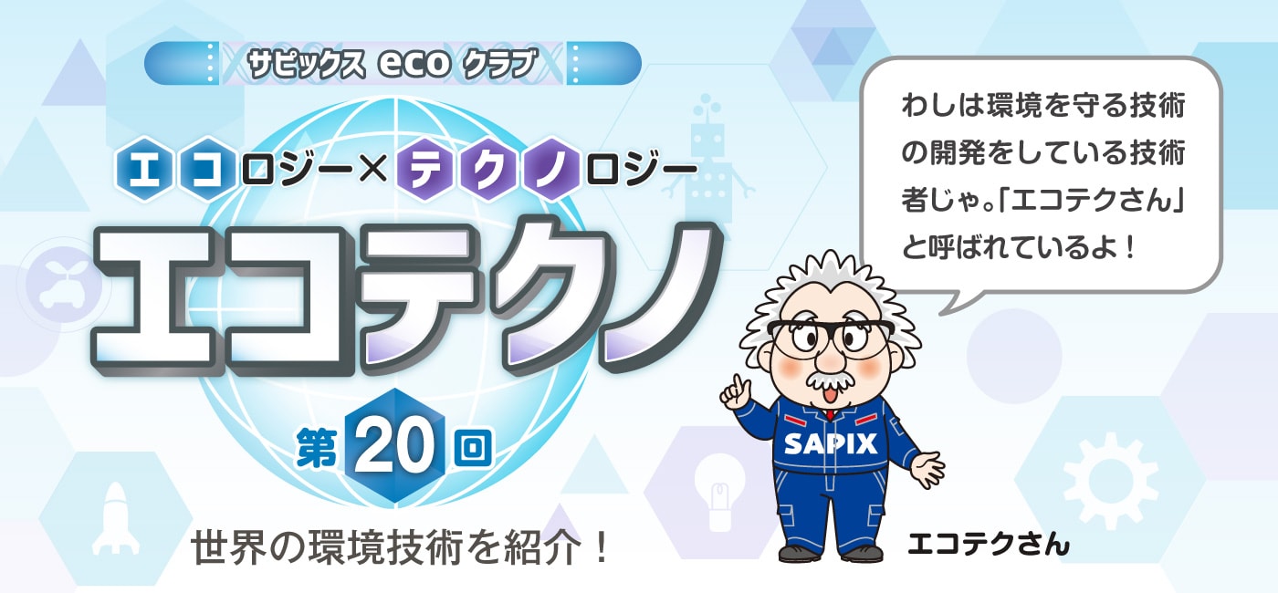 サピックスecoクラブ エコテクノ