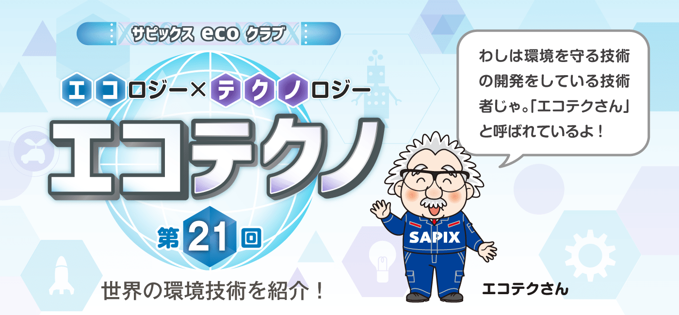 サピックスecoクラブ エコテクノ