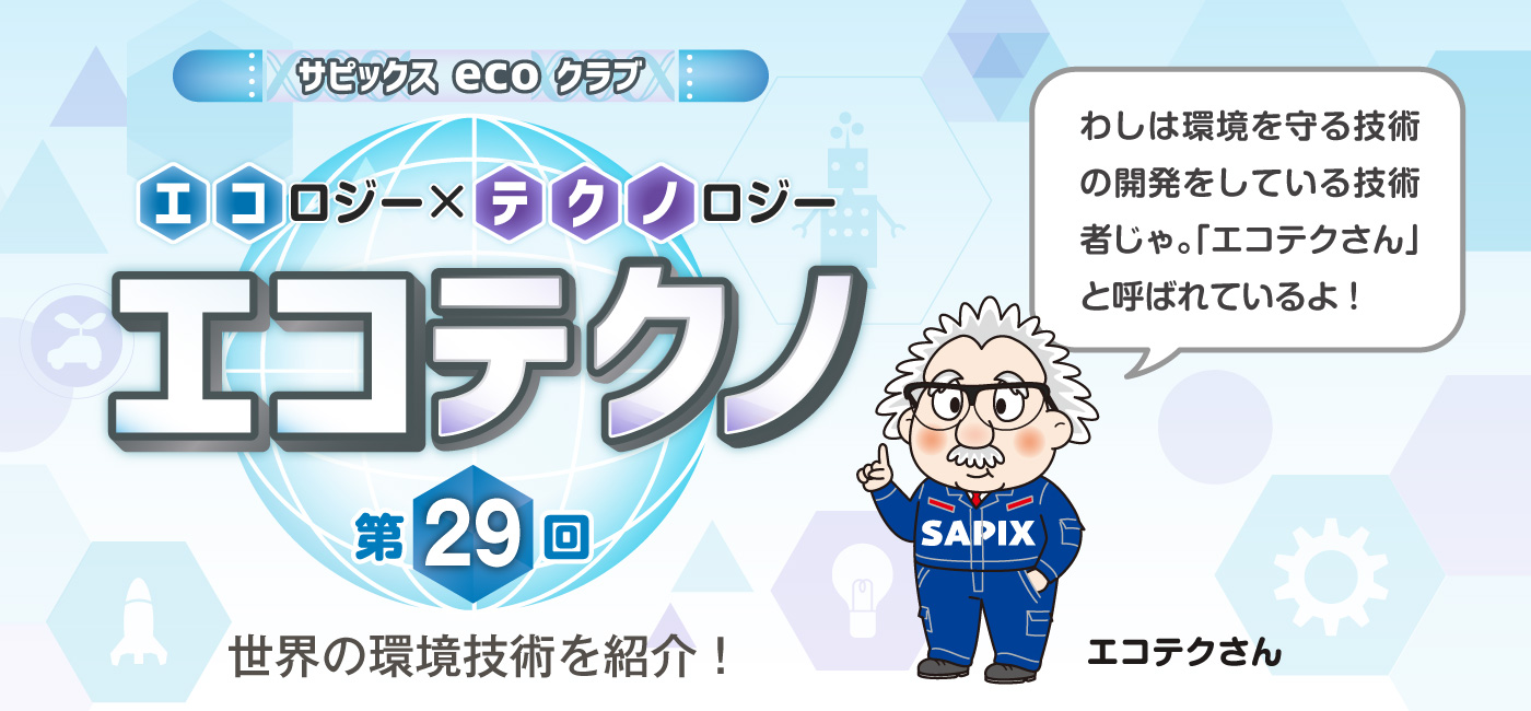 サピックスecoクラブ エコテクノ