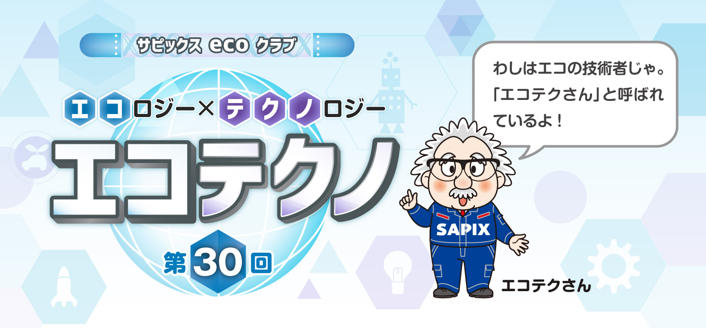 サピックスecoクラブ エコテクノ