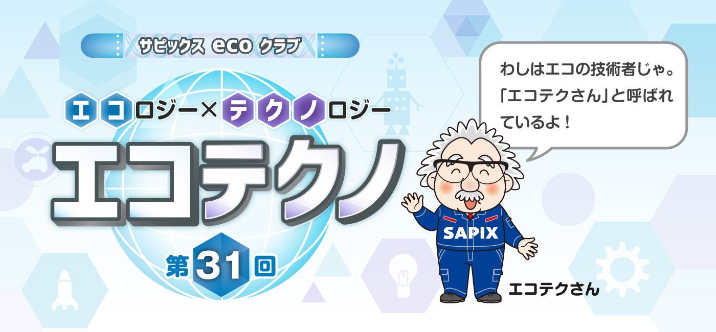 サピックスecoクラブ エコテクノ