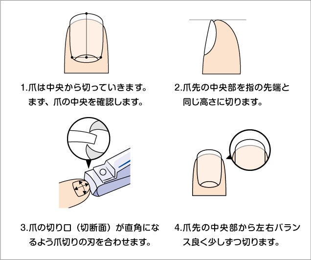 手と足の爪の正しい切り方イメージ