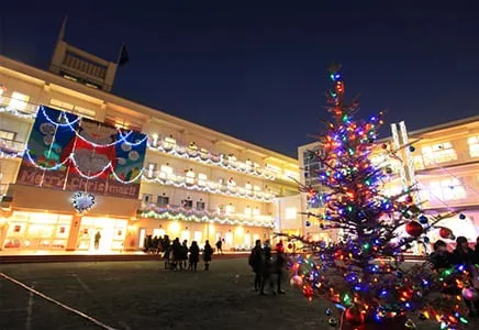 毎年クリスマスシーズンには、校舎に電飾を施します。隠れた名所となっています