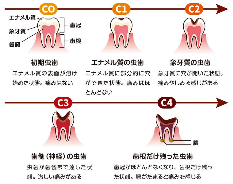 年輪