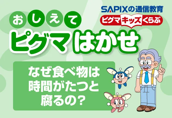 ピグマはかせ