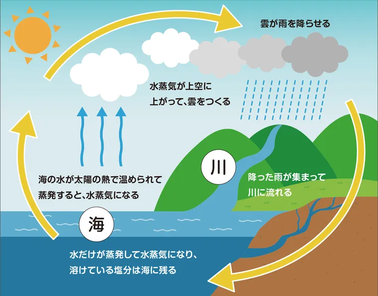 海の水と川の水のイラスト
