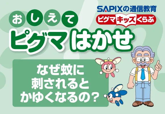 おしえてピグマはかせ