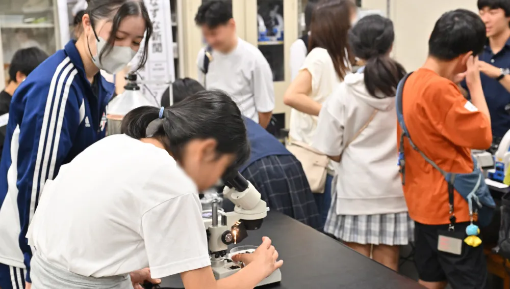小さな生き物の様子を顕微鏡で観察します。高校生の説明を聞き、理解も興味も深まります
