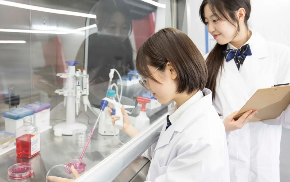 実験室にはES細胞やiPS細胞などの培養細胞を扱うためのクリーンベンチや、遺伝子の発現解析を行うための実験機器等がそろっています