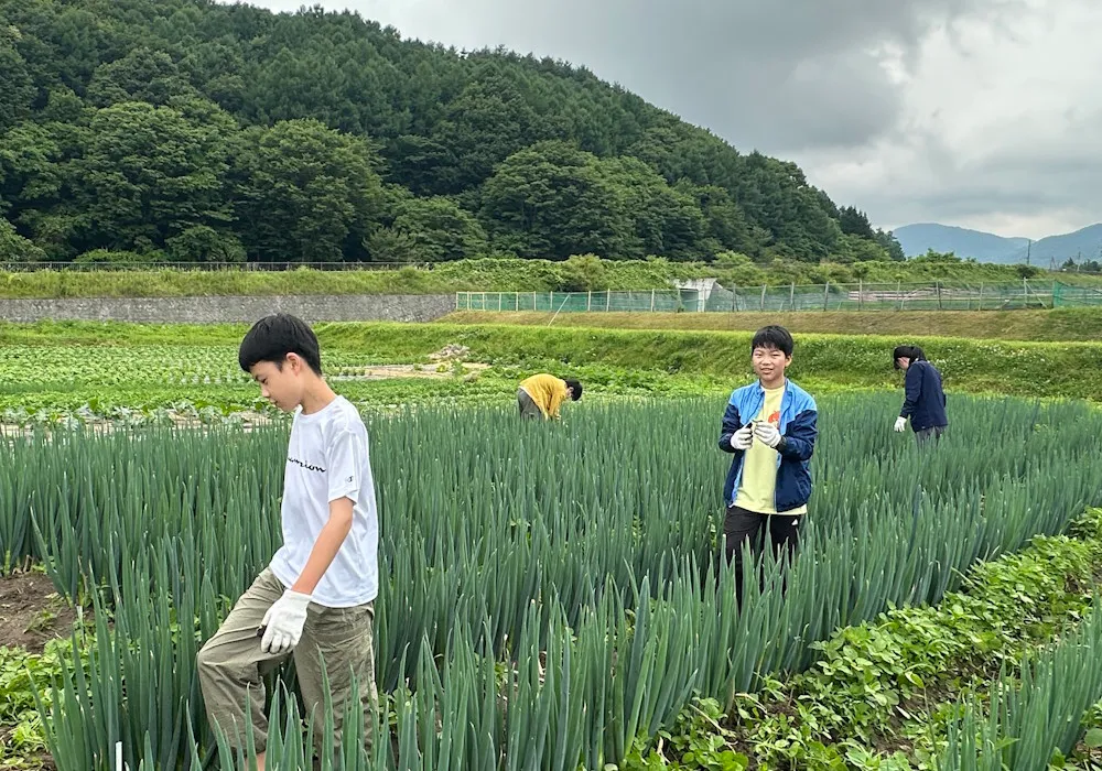 6月に実施される中1のサマーキャンプ。農場や牧場での職業体験、星空観測などを行い、生命や自然環境に触れます