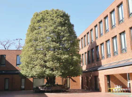 香蘭女学校中等科・高等科の授業・探究の様子（別カット）