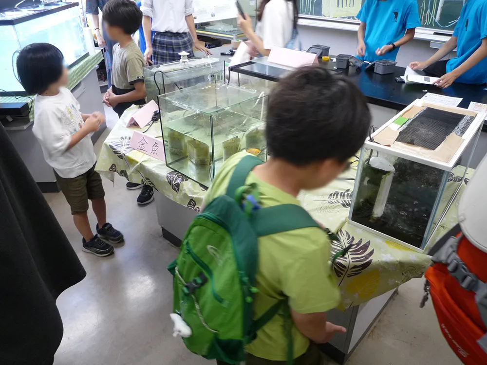 生き物を見て目を輝かせる小学生、無料配布されるミニトマトや枝豆をうれしそうに受け取る親子がたくさんいました