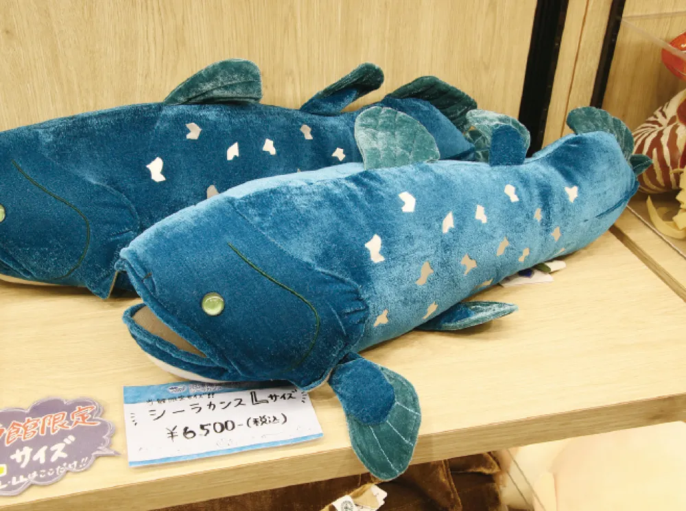 シーラカンスぬいぐるみ Lサイズ
