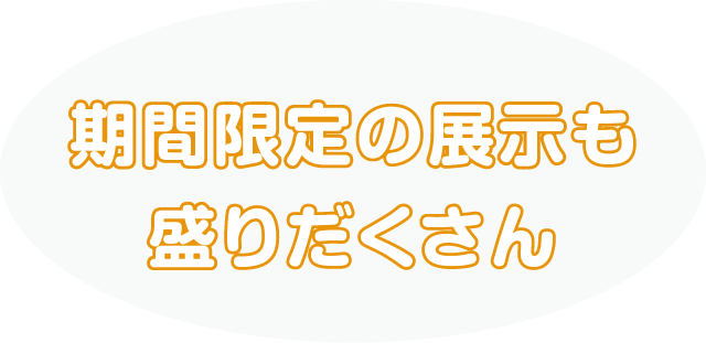 期間限定の展示も盛りだくさん