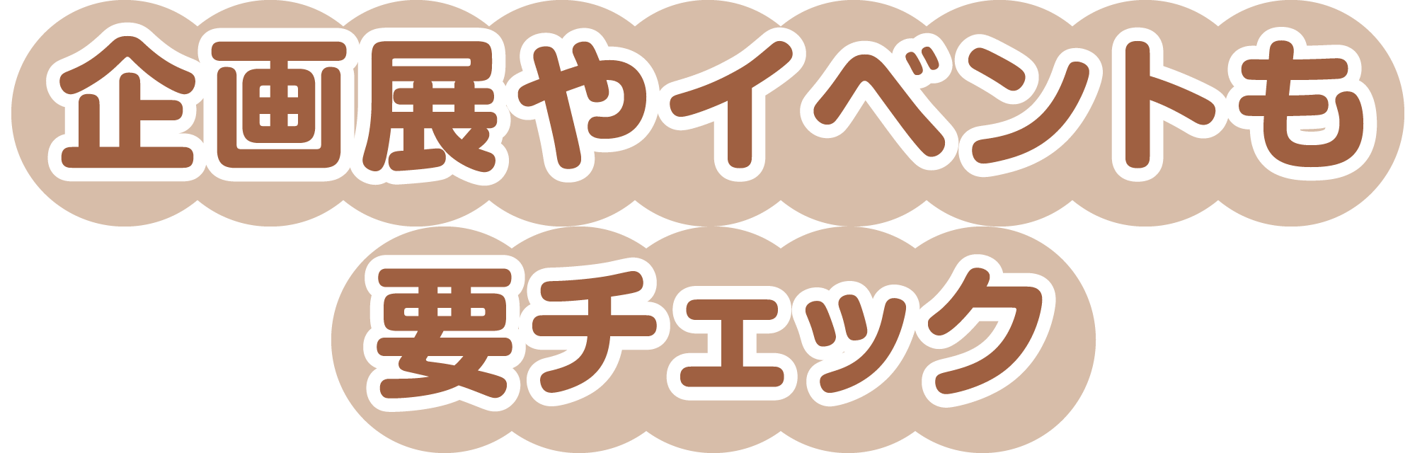 企画展やイベントも要チェック