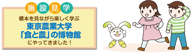 施設見学 標本を見ながら楽しく学ぶ 東京農業大学「食と農」の博物館 にやってきました!